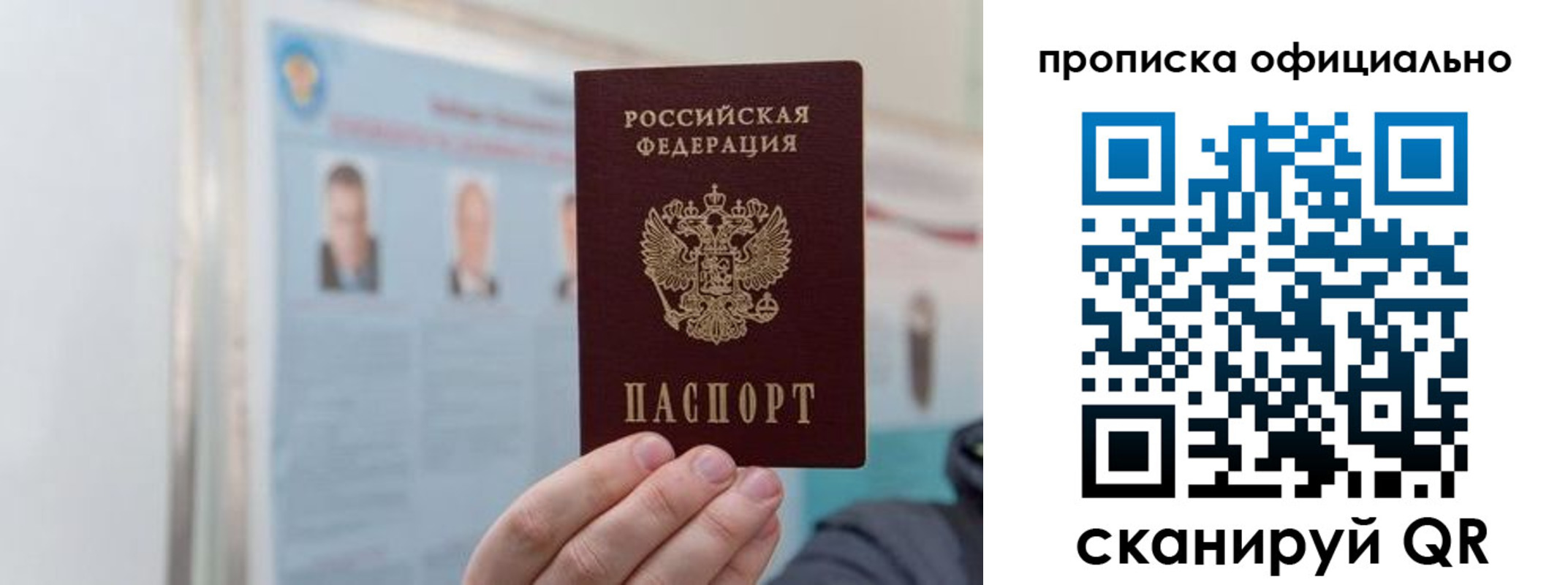 прописка гарантия в Краснозаводске